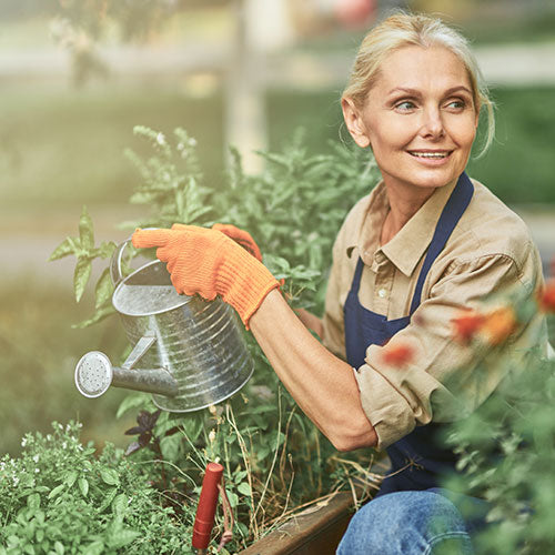 Woman in a garden holding a watering can, wearing an apron and gloves.